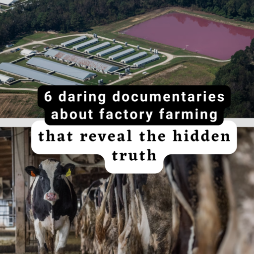 6 daring documentaries about factory farming that reveal the hidden truth