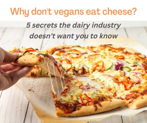 Why don't vegans eat cheese? Top 5 secrets the industry doesn't want you to know
