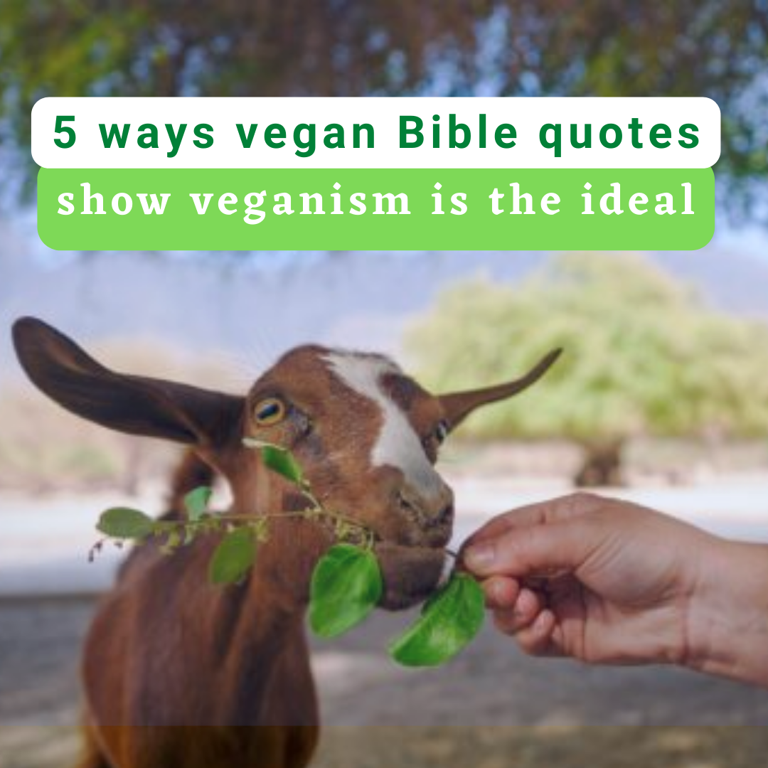 5 ways vegan Bible quotes show veganism is the ideal
