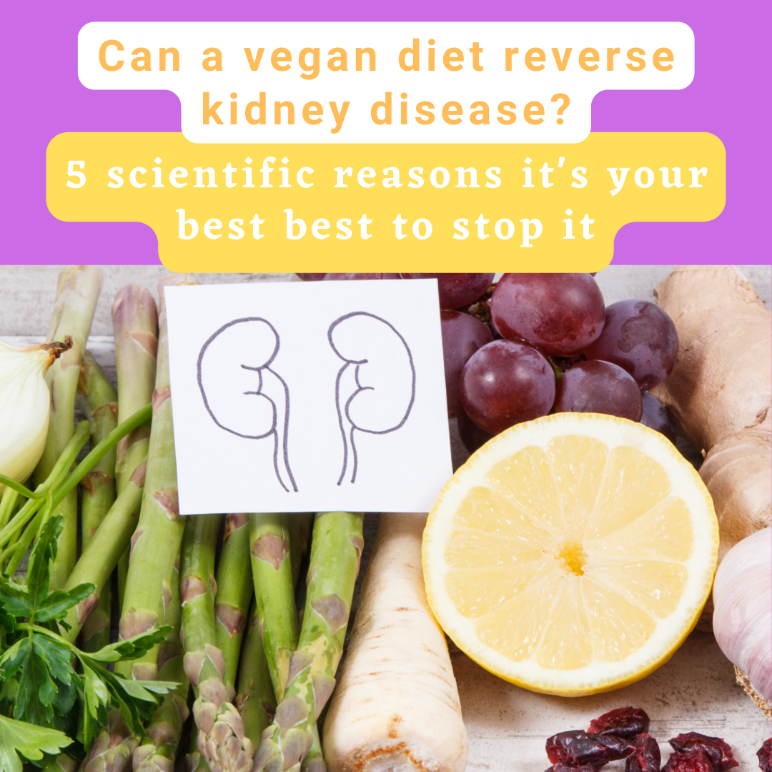 can-a-vegan-diet-reverse-kidney-disease-ckd-guide