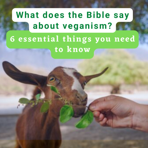 What does the Bible say about veganism?